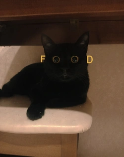 -rRUuh-yTRM.jpg