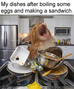 1000039387.jpg