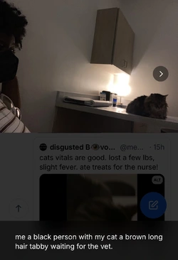 IMG_4969.jpeg