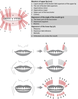 9781626238671_fig43_1.jpg