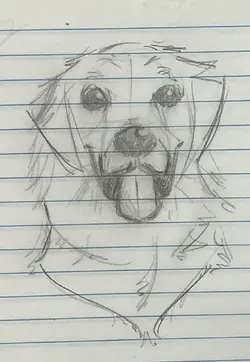 the dog.jpg