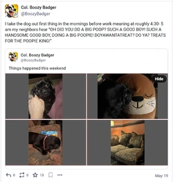 Screenshot_8-7-2026_20027_meow.social.jpeg
