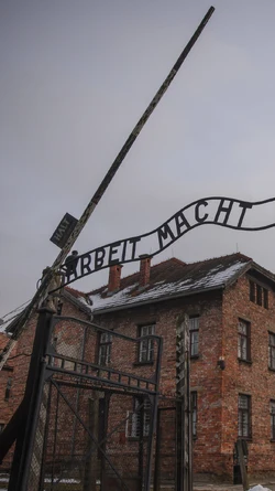 1776196942894,arbeit-macht-frei-widerstand-in-auschwitz-90sekundengeschichte-102~_v-9x16@2dXL_...jpg