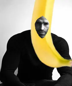 Giga366.jpg