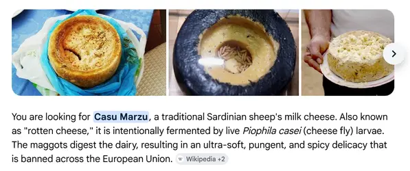 Screenshot 2026-07-14 at 11-18-29 gourmet cheese with maggots - Google Search.png