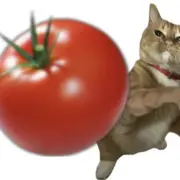 IMG_7002.png