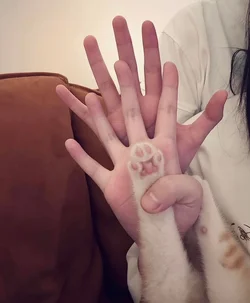 1000073812.jpg