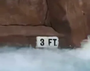 3-ft.jpeg