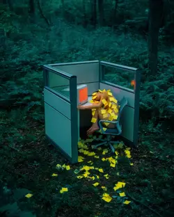 1784226607129.png