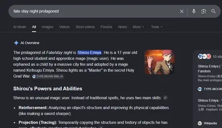 fate stay night protag.png