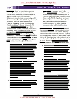 NICA_ Foreign Threats to 2020 US election_19AUG2020 - DECLASS_REDACTED-4.jpg