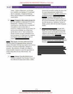 NICA Foreign Threats To 2020 US Election_19AUG2020 DECLASS_REDACTED-7.jpg