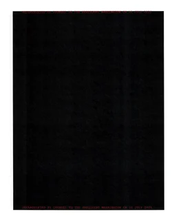PRC Analsyis on US Voter Registration Information - clean - declass marked_Redacted-8.jpg