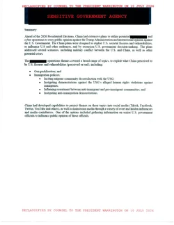 Summary - clean - declass marked PART 3-1.jpg