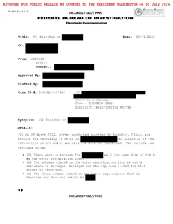 FBIMichigan Fake Voter Memo 1 RELEASE MARKED-1.jpg