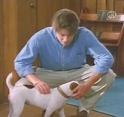 1000024904.gif