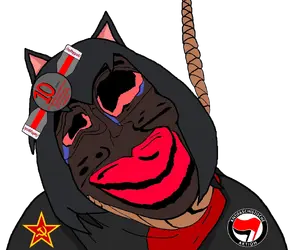 1784308539857.png