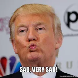 sad-very-sad-inu3eg.jpg