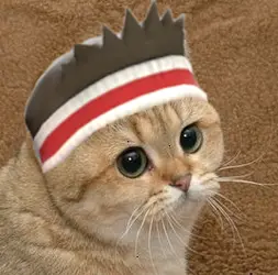 ttKr3.png