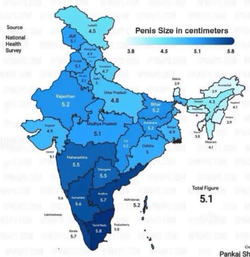 India penis size map.jpeg