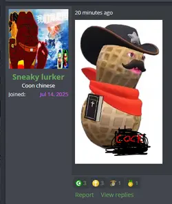 235325wfdsf.PNG
