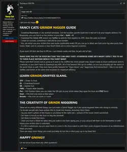 fc3.png