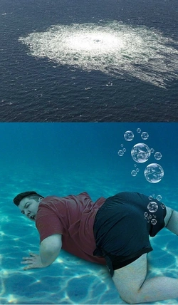 1000010571.jpg