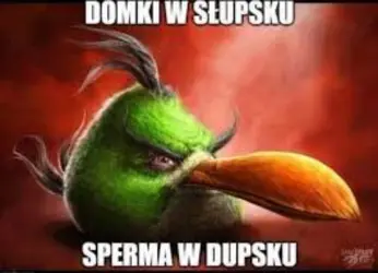 Screenshot 2026-02-25 at 21-30-46 domki w słupsku memy - Szukaj w Google.png