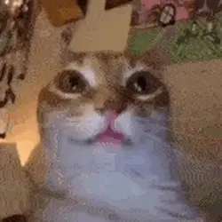 huh.gif
