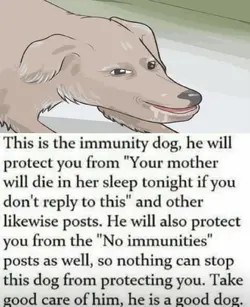 1784590549568.png