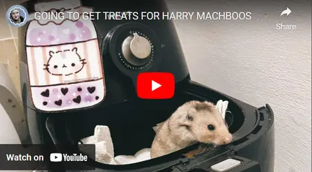 harry.png