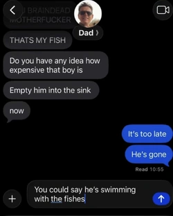 Screenshot_20260721_181928_Instagram.jpg