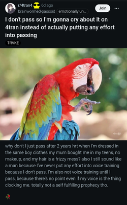 1000047236.jpg