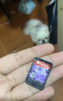 33945.jpg