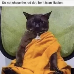 1736163046808062m.jpg
