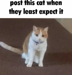 1730999636943594.jpg