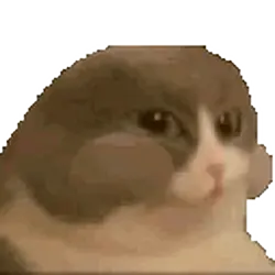 1735314513817218.gif