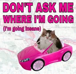 Goinginsane.jpg