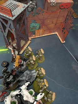 7984.jpg