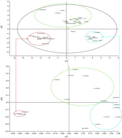 1-s2.0-S2352396417300762-gr2.jpg
