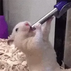 1781894127235801.gif