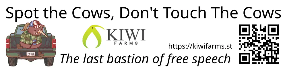STC4-1.png