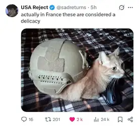 1000039892.jpg
