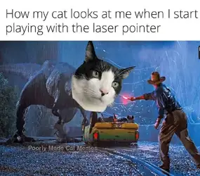 1000039868.jpg