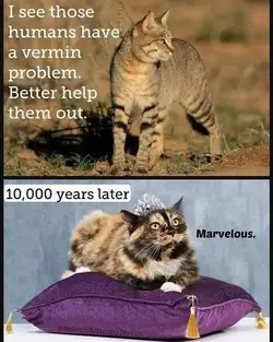 1000039792.jpg