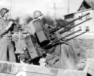 krautmower.png