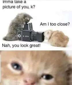 1000006508.png