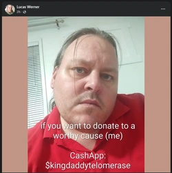 wernmon.jpg