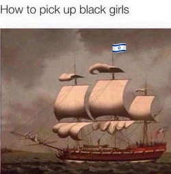1733767383146816.jpg
