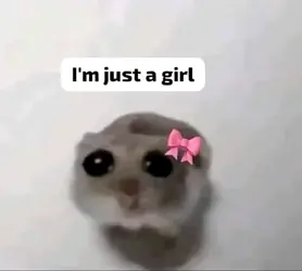 1785104258739.png